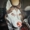 Juztstuff's icon