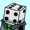Gusle1579's icon
