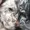 lostinthevinyl's icon