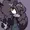 Infinite-Kemonoyagi's icon
