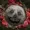 svnstrt's icon