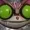 emeraldpanic's icon