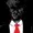 Blacksuitskin's icon