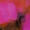 Art2user's icon