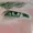 Septorin's icon