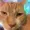 niecvucge's icon