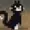 NAXGUIYo's icon