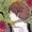 CharonLRdraws's icon