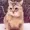 rublicq's icon