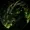 DragonFYI's icon
