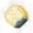 pleseen's icon