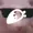 pseudomix's icon
