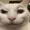 BoymoderGaming's icon