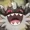 Shamlune's icon