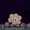 Destroyer2424's icon