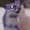 TheTosterPaw's icon