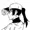 thesfkiwi's icon