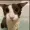 Mikaeatskiwis's icon