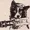 Davidg1312's icon