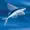FlyingFishProduction's icon
