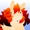 wiiviil's icon