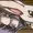 UnFanDeBunnyKill's icon