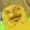petmoe's icon