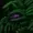 DominusDolorem's icon