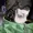 DepartureDX's icon