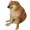 KayAll's icon