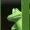 Spectra01's icon