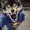 Testjoke's icon