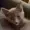 skish5's icon