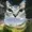 googlier's icon