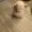 33sevringoblin's icon