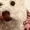 Losski's icon
