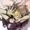 HaloandB0N3's icon