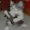 Frash15's icon