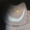 Monitako's icon