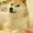 nvmrexx's icon