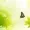 Pandyo23's icon