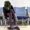 SweetParadise's icon