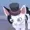DoorbellGod's icon