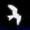 svKite's icon