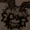 Nanothebee's icon