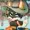 AFidgetFox's icon