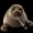 pepebotella79's icon