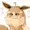 Eeveelutionlover's icon