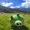 Jcpff24's icon