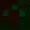 JimuEggu's icon